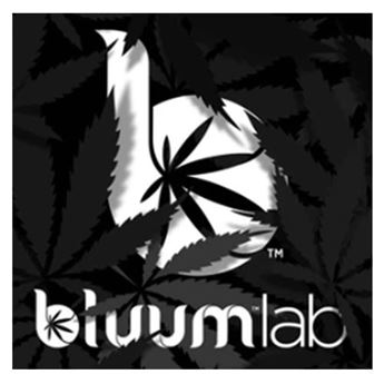 0000354 bluumlab 345